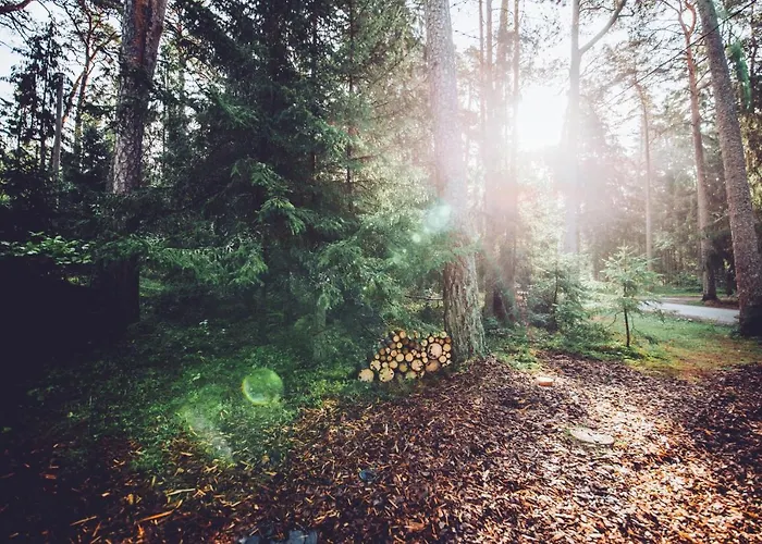 Oeoed - With Sauna Chalet *