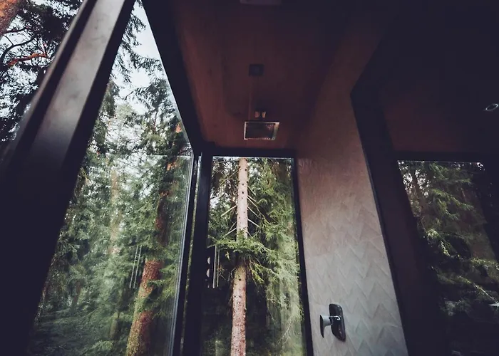 Oeoed - With Sauna Chalet Rannamoisa